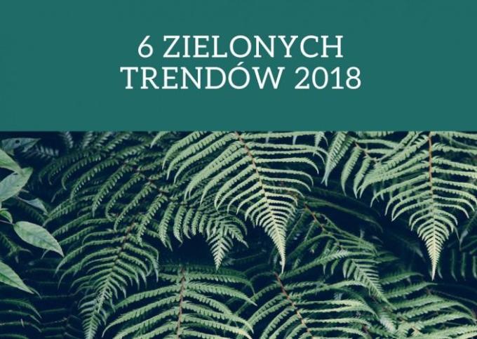 6 zielonych trendów w biurach 2018