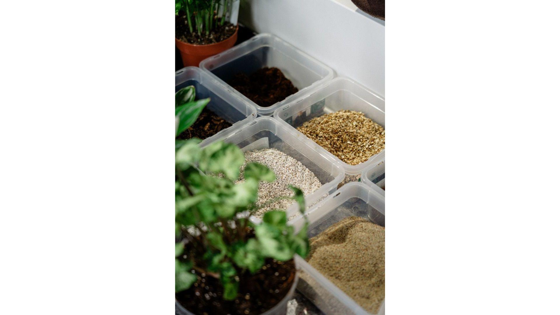 balma_fotomohito_happyplants_torus_apa architects_biophilic_office_day_3.jpg