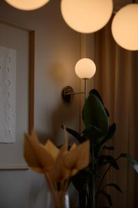 Aranżacja biura kancelarii prawnej Casus Iuris Balma_lampy.jpg