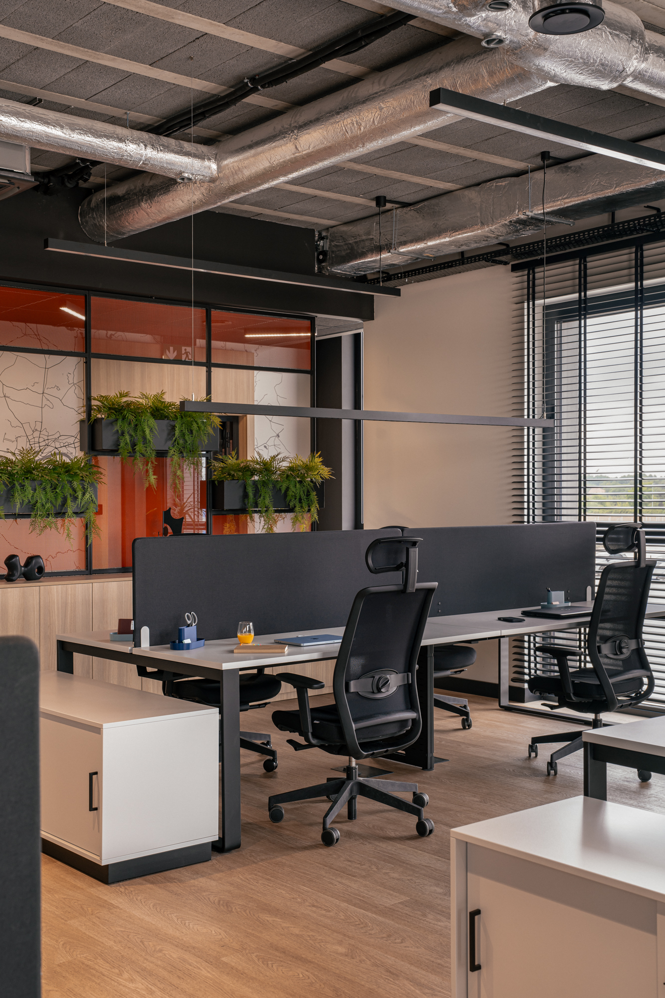 mich-trans-lisi- ogon-zurawicki-design-kroniki-studio-multibase-k2-etum-open-space-Balma.jpg