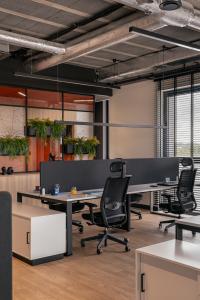 mich-trans-lisi- ogon-zurawicki-design-kroniki-studio-multibase-k2-etum-open-space-Balma.jpg